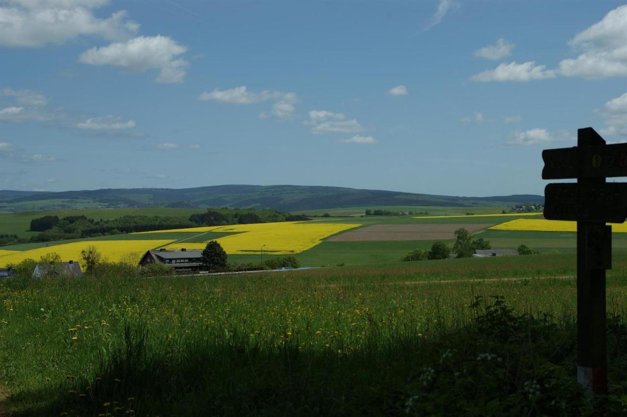 Klein'S Hochwaldscheune Pellingen Exterior foto